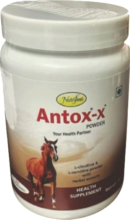 antoxx