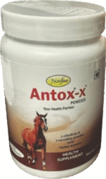 antoxx