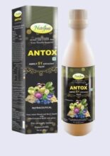 ed5eebbe-f630-433d-885c-76b7b0e85963